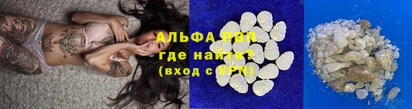 сатива Вязьма