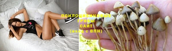 сатива Вязьма
