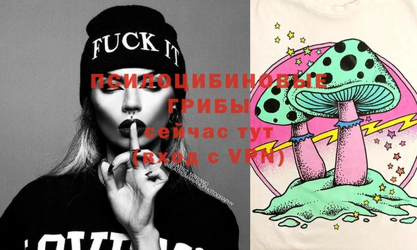 сатива Вязьма