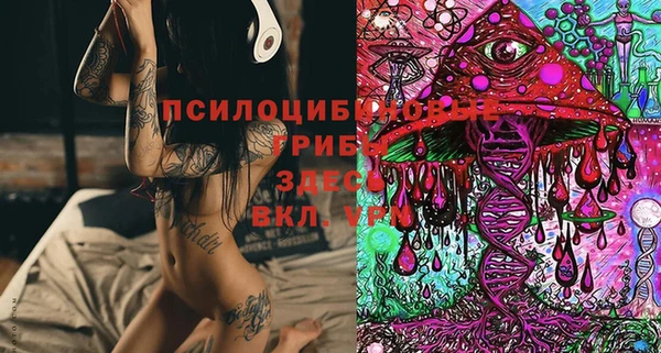 сатива Вязьма