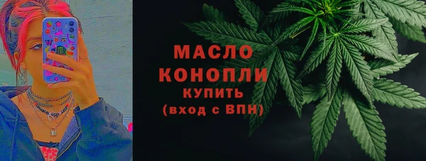 сатива Вязьма
